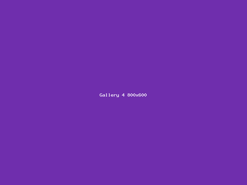 Gallery image 4
